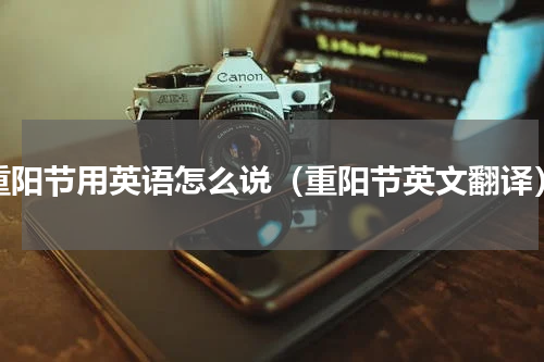 重阳节用英语怎么说（重阳节英文翻译）