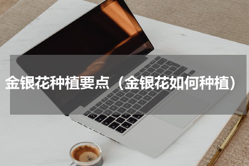 金银花种植要点（金银花如何种植）