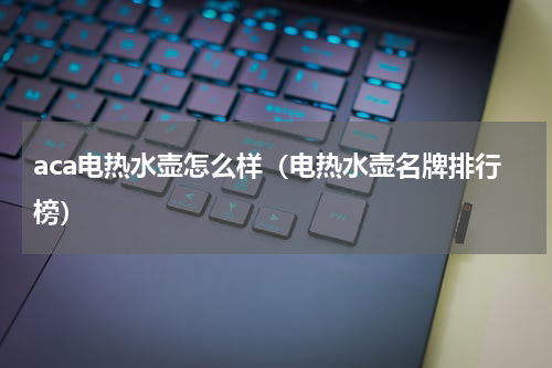 aca电热水壶怎么样（电热水壶名牌排行榜）