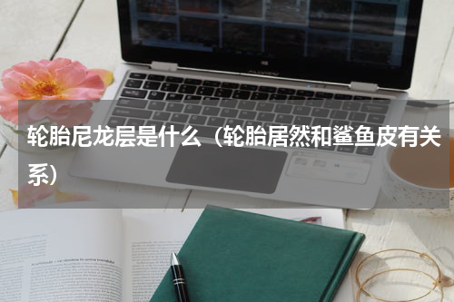 轮胎尼龙层是什么（轮胎居然和鲨鱼皮有关系）