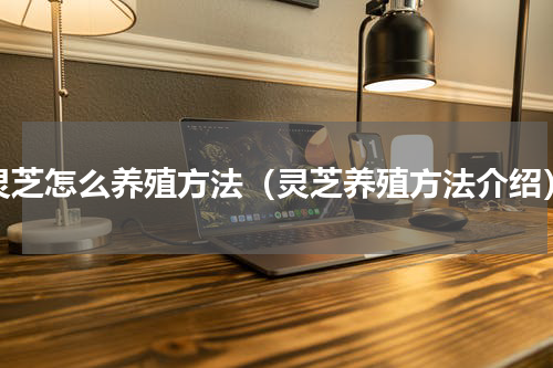 灵芝怎么养殖方法（灵芝养殖方法介绍）