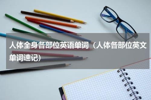 人体全身各部位英语单词（人体各部位英文单词速记）