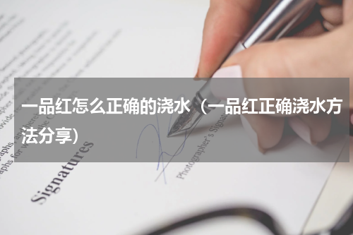 一品红怎么正确的浇水（一品红正确浇水方法分享）