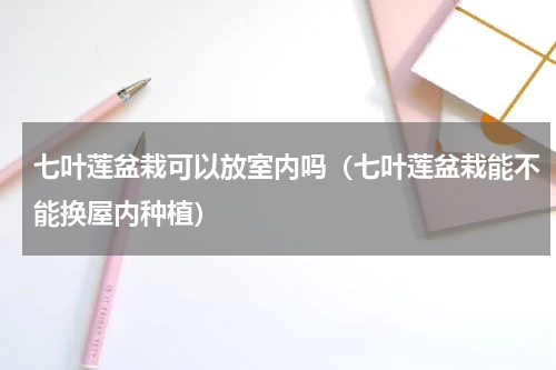 七叶莲盆栽可以放室内吗（七叶莲盆栽能不能换屋内种植）