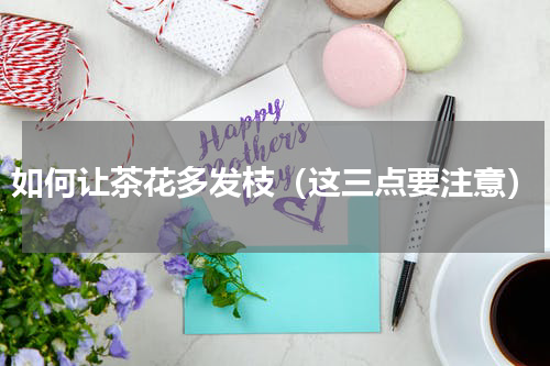 如何让茶花多发枝（这三点要注意）