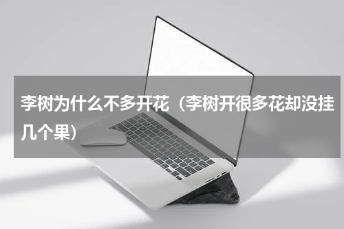 李树为什么不多开花（李树开很多花却没挂几个果）