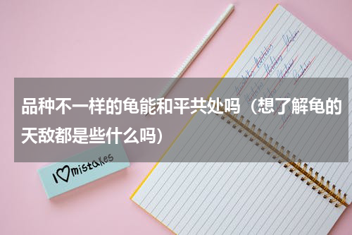 品种不一样的龟能和平共处吗（想了解龟的天敌都是些什么吗）