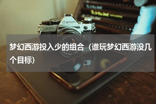梦幻西游投入少的组合（谁玩梦幻西游没几个目标）