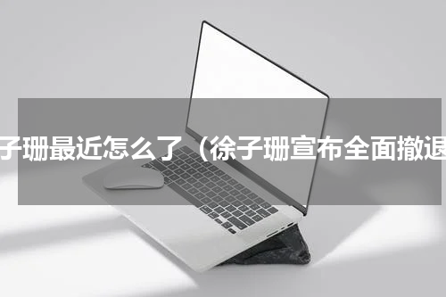徐子珊最近怎么了（徐子珊宣布全面撤退）