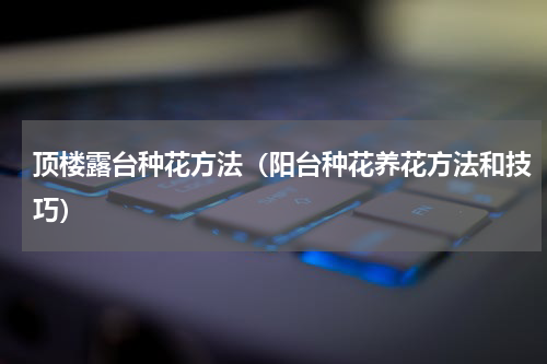顶楼露台种花方法（阳台种花养花方法和技巧）