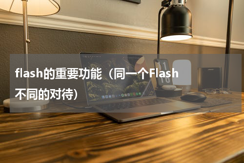 flash的重要功能（同一个Flash不同的对待）