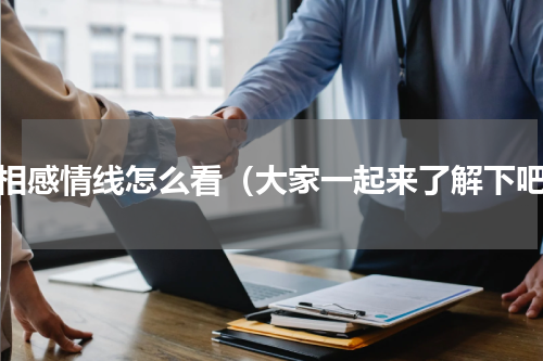 手相感情线怎么看（大家一起来了解下吧）