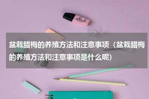 盆栽腊梅的养殖方法和注意事项（盆栽腊梅的养殖方法和注意事项是什么呢）