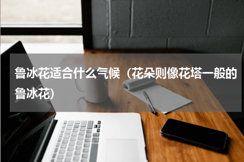 鲁冰花适合什么气候（花朵则像花塔一般的鲁冰花）