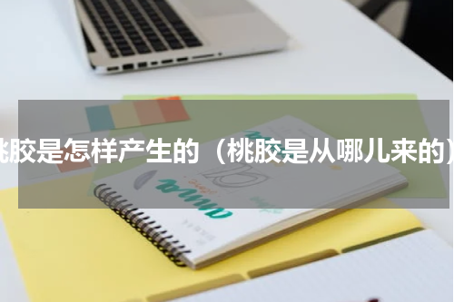 桃胶是怎样产生的（桃胶是从哪儿来的）