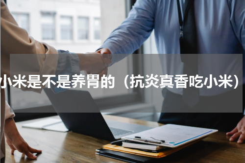 小米是不是养胃的（抗炎真香吃小米）