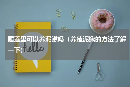 睡莲里可以养泥鳅吗（养殖泥鳅的方法了解一下）