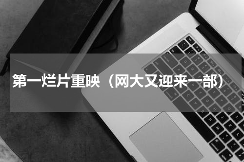 第一烂片重映（网大又迎来一部）