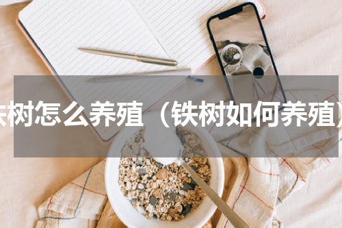 铁树怎么养殖（铁树如何养殖）