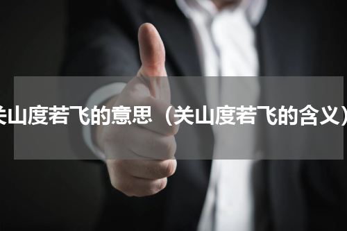 关山度若飞的意思（关山度若飞的含义）