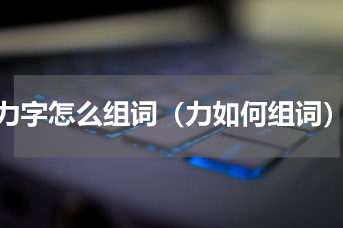 力字怎么组词（力如何组词）