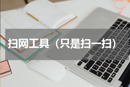 扫网工具（只是扫一扫）