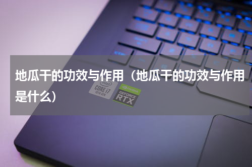 地瓜干的功效与作用（地瓜干的功效与作用是什么）