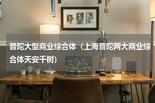 普陀大型商业综合体（上海普陀两大商业综合体天安千树）