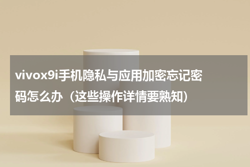 vivox9i手机隐私与应用加密忘记密码怎么办（这些操作详情要熟知）