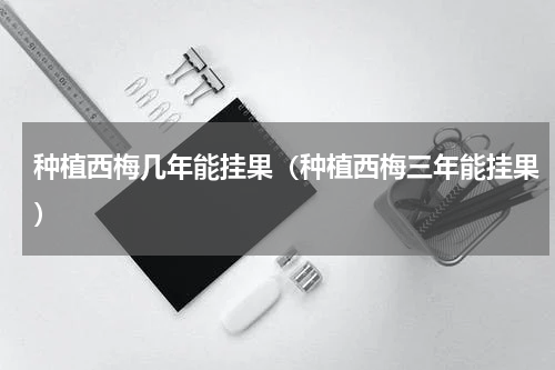 种植西梅几年能挂果（种植西梅三年能挂果）