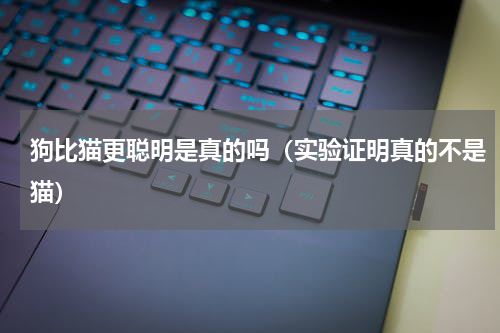 狗比猫更聪明是真的吗（实验证明真的不是猫）
