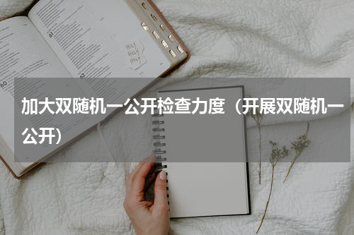 加大双随机一公开检查力度（开展双随机一公开）