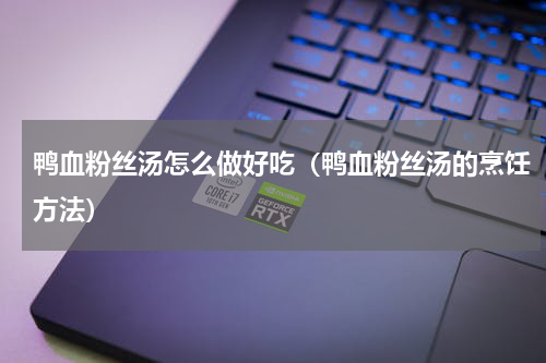 鸭血粉丝汤怎么做好吃（鸭血粉丝汤的烹饪方法）