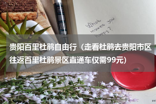 贵阳百里杜鹃自由行（走看杜鹃去贵阳市区往返百里杜鹃景区直通车仅需99元）