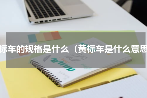 黄标车的规格是什么（黄标车是什么意思）