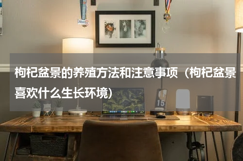 枸杞盆景的养殖方法和注意事项（枸杞盆景喜欢什么生长环境）