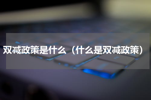 双减政策是什么（什么是双减政策）