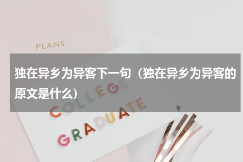 独在异乡为异客下一句（独在异乡为异客的原文是什么）