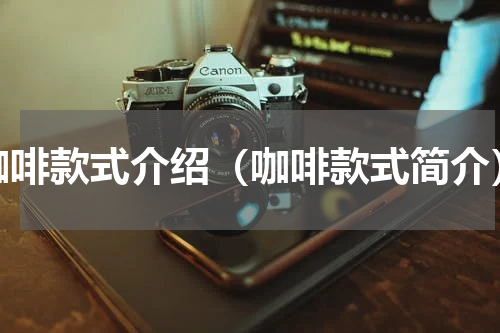 咖啡款式介绍（咖啡款式简介）