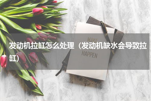 发动机拉缸怎么处理（发动机缺水会导致拉缸）