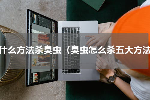 用什么方法杀臭虫（臭虫怎么杀五大方法）