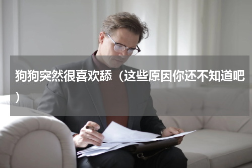 狗狗突然很喜欢舔（这些原因你还不知道吧）