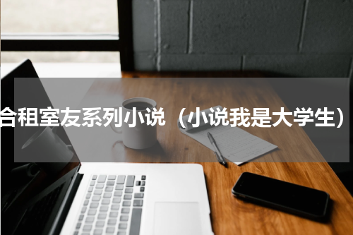 合租室友系列小说（小说我是大学生）
