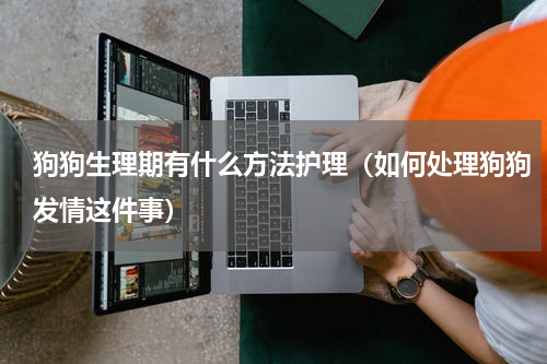 狗狗生理期有什么方法护理（如何处理狗狗发情这件事）