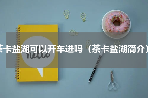 茶卡盐湖可以开车进吗（茶卡盐湖简介）