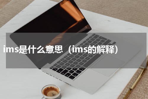 ims是什么意思（ims的解释）