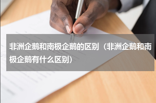 非洲企鹅和南极企鹅的区别（非洲企鹅和南极企鹅有什么区别）