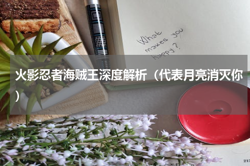 火影忍者海贼王深度解析（代表月亮消灭你）