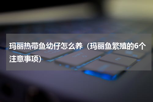玛丽热带鱼幼仔怎么养（玛丽鱼繁殖的6个注意事项）