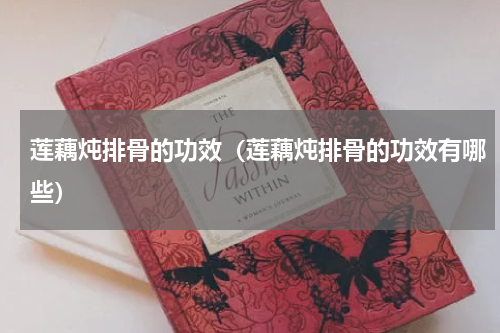 莲藕炖排骨的功效（莲藕炖排骨的功效有哪些）
